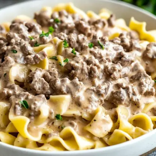 Slow Cooker Ground Beef Stroganoff