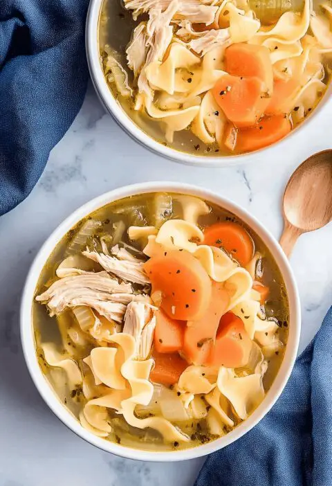 Instant Pot Chicken Noodle Soup