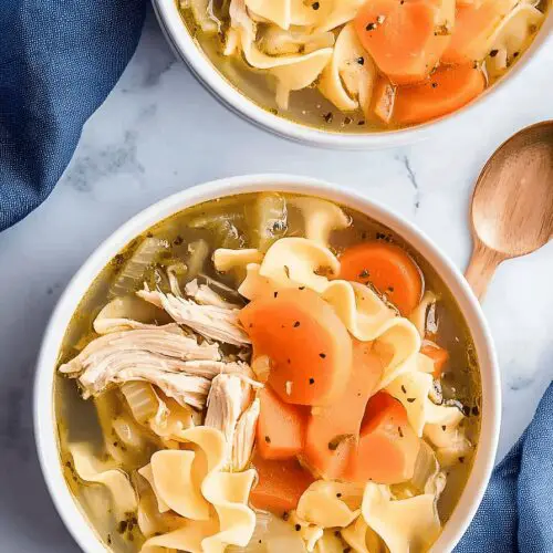 Instant Pot Chicken Noodle Soup