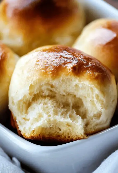 Quick Dinner Rolls