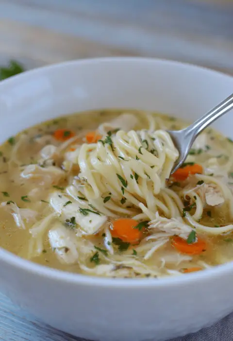 Chicken & Noodle Soup Recipe