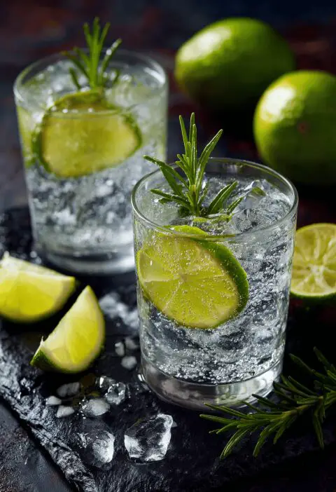 Gin And Tonic Recipe
