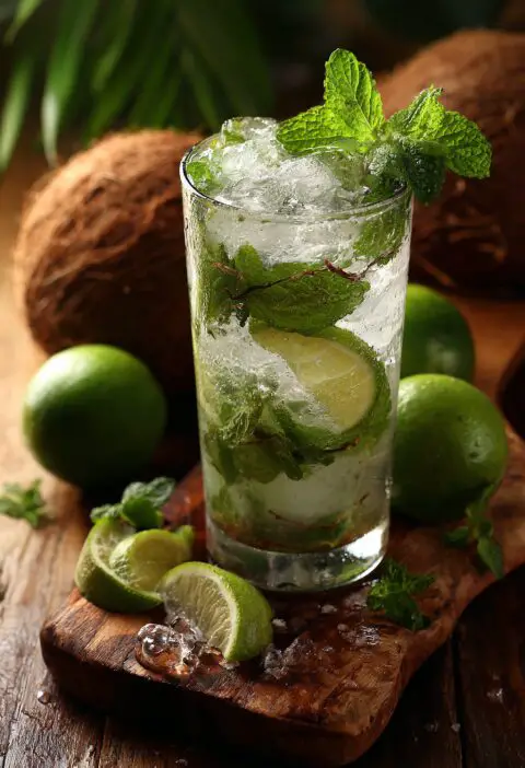 Coconut Mojito Recipe