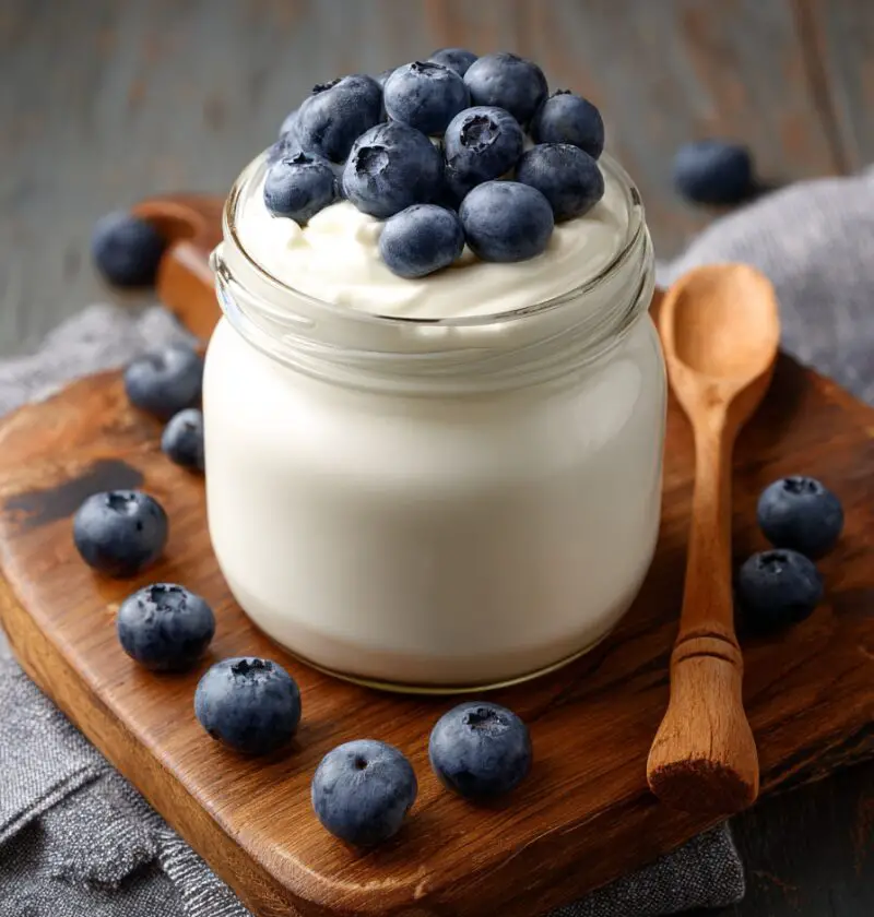 Instant Pot Yogurt Recipe