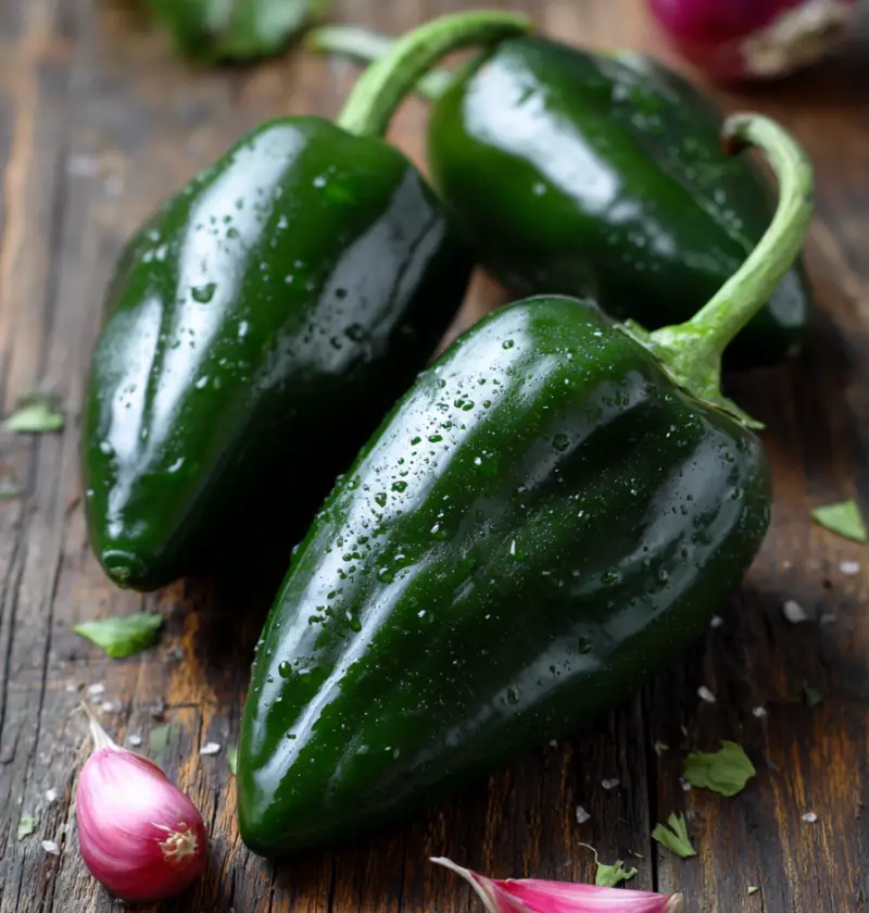 Poblano Pepper Recipe